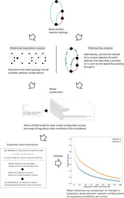 A Probabilistic Approach to Explore Signal Execution Mechanisms With Limited Experimental Data